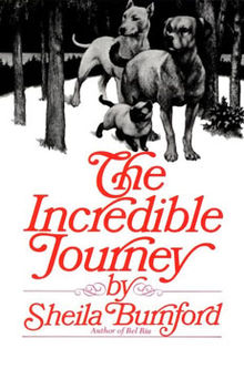 The Incredible Journey: Book Review – wynnesworld